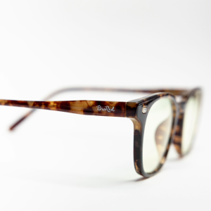 SCREEN SUNSET LEOPARD